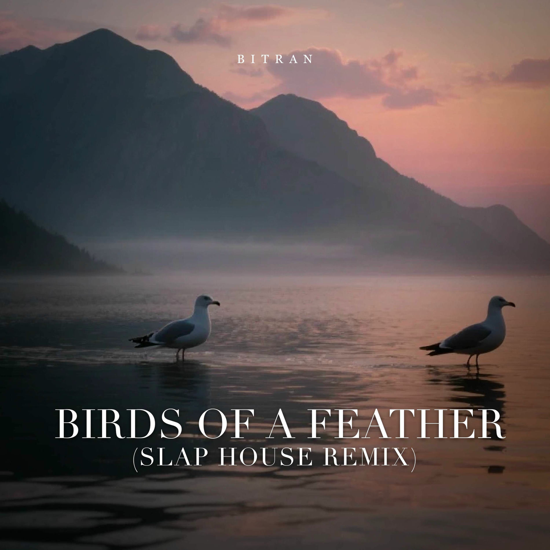 Album cover of Birds of a Feather (Slap House Remix)