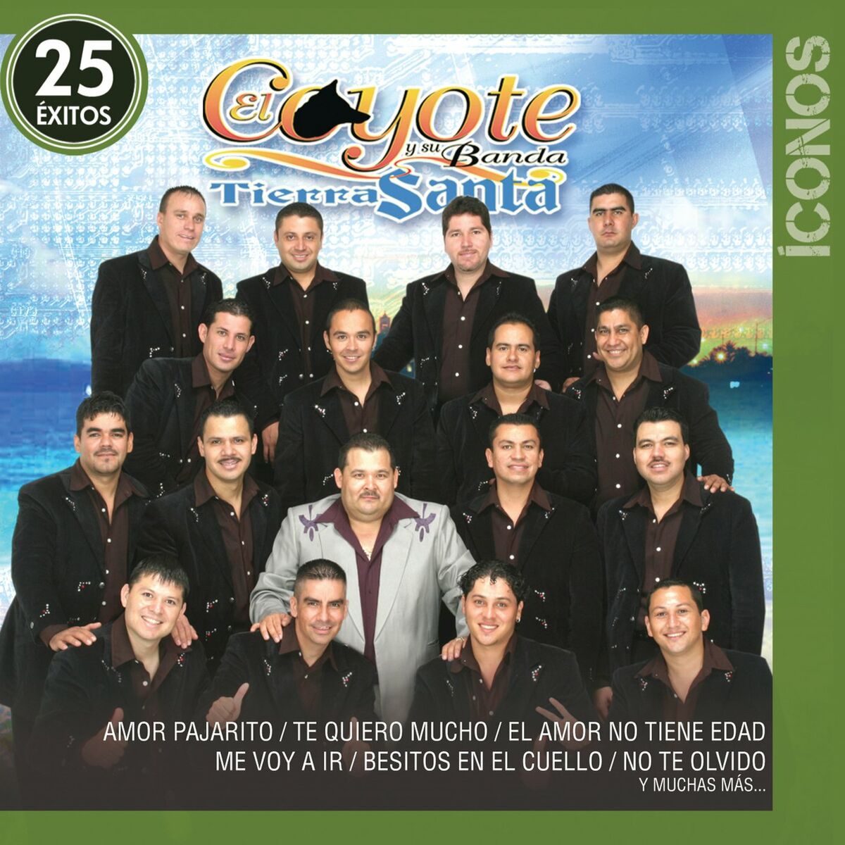 Album cover of Íconos 25 Éxitos