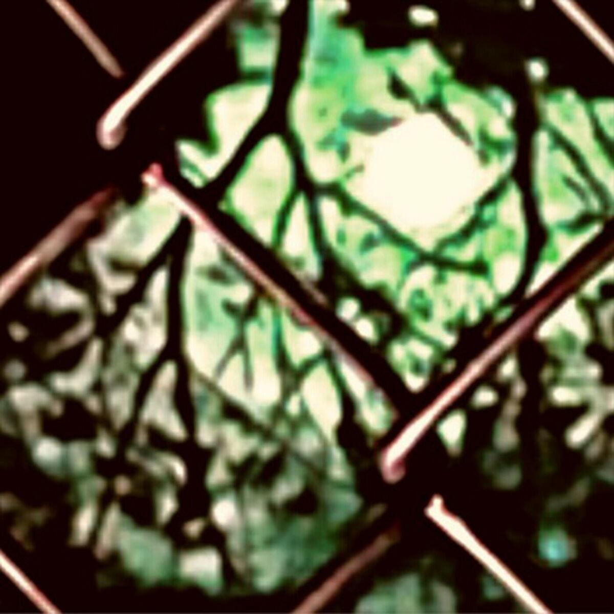 Album cover of wutiwant