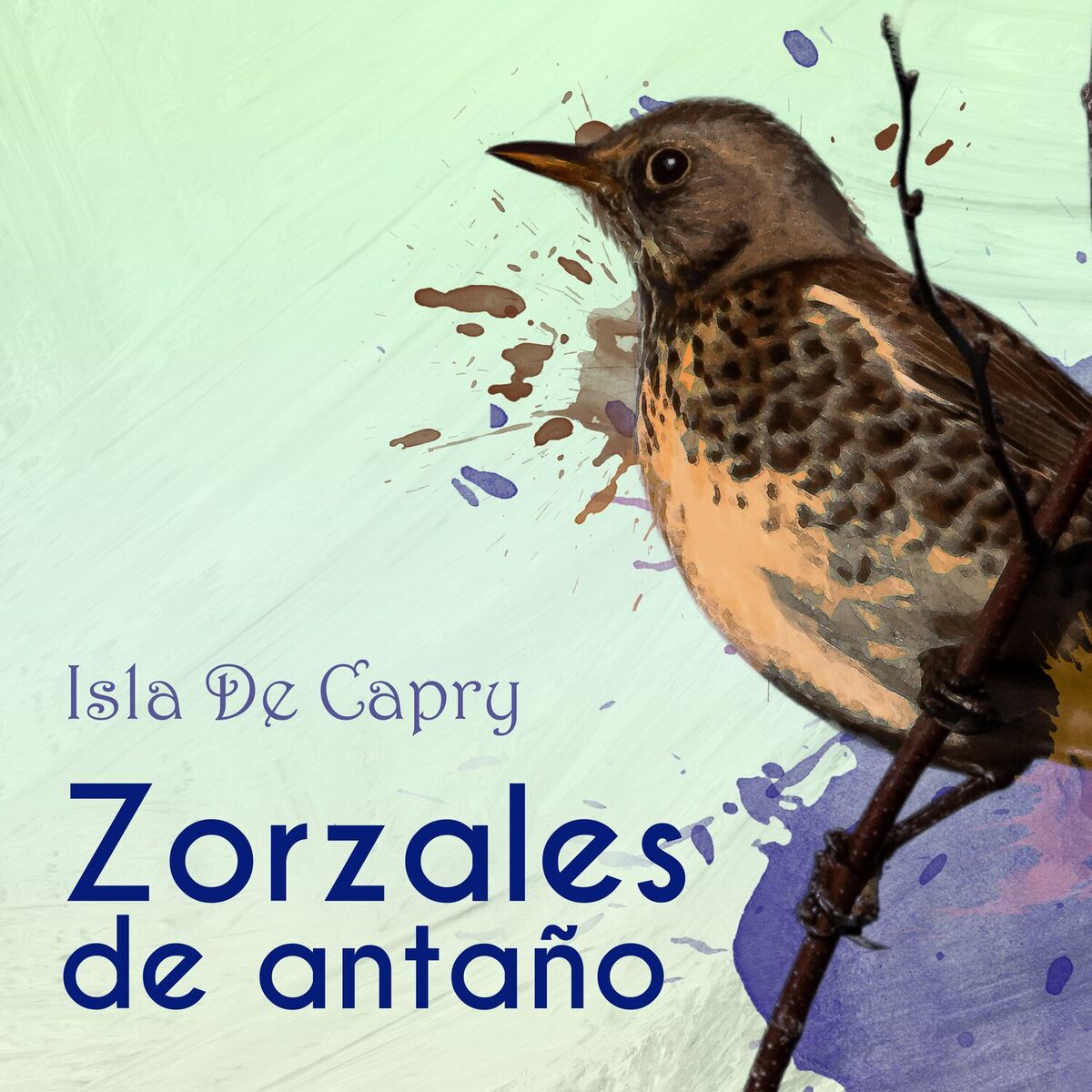 Album cover of Zorzales de Antaño… Isla De Capry