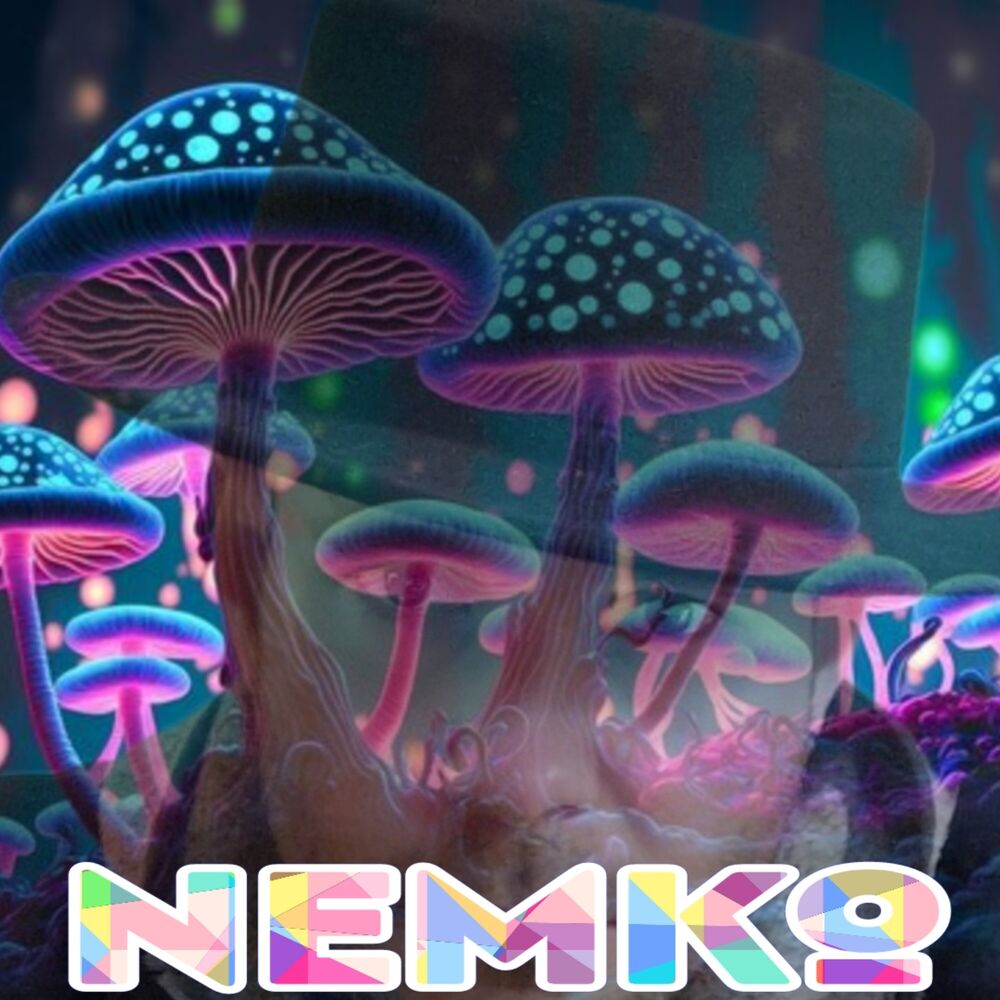 Picture of Slippy (Instrumental Version)