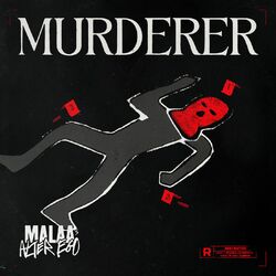 Cover of Murderer