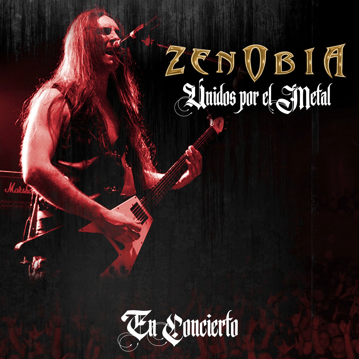Album cover of Unidos por el Metal (En Concierto)