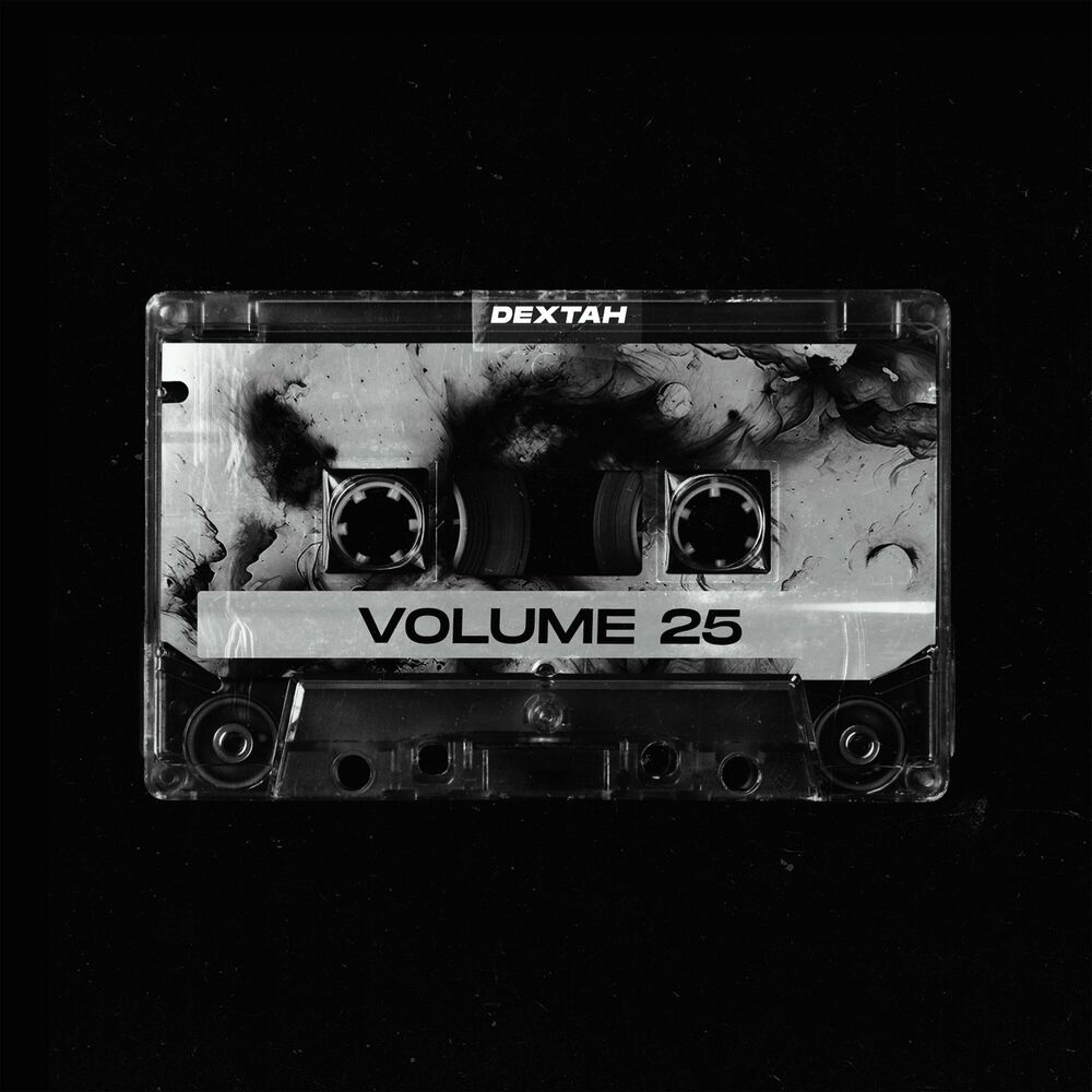 Picture of Volume 25
