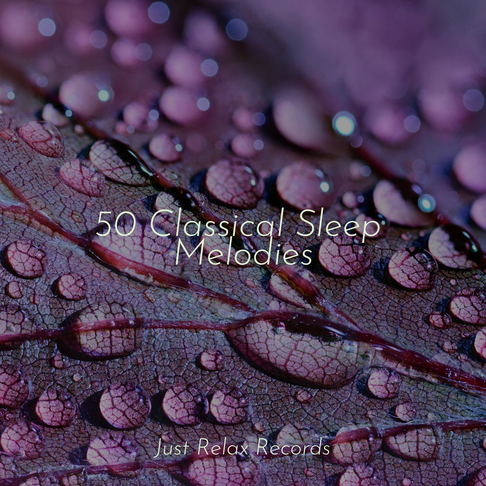 Album cover of 50 Classical Sleep Melodies