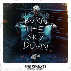 Cover of Burn The Sky Down