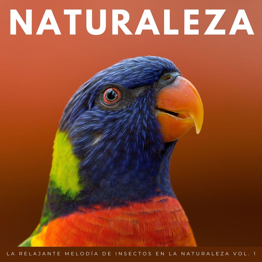 Picture of La Relajante Melodía De Insectos En La Naturaleza Vol. 1