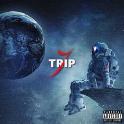 Cover of Trip