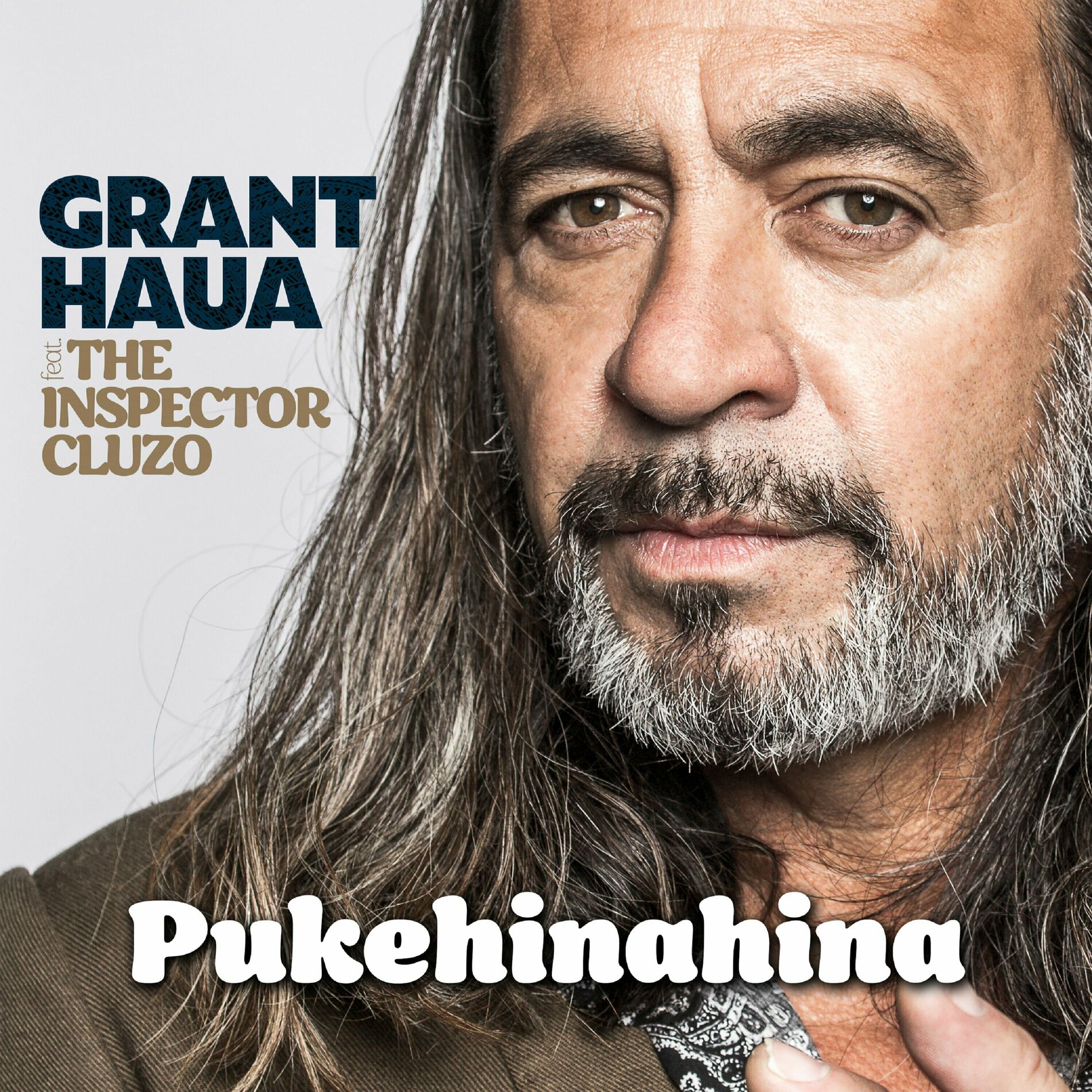 Album cover of Pukehinahina