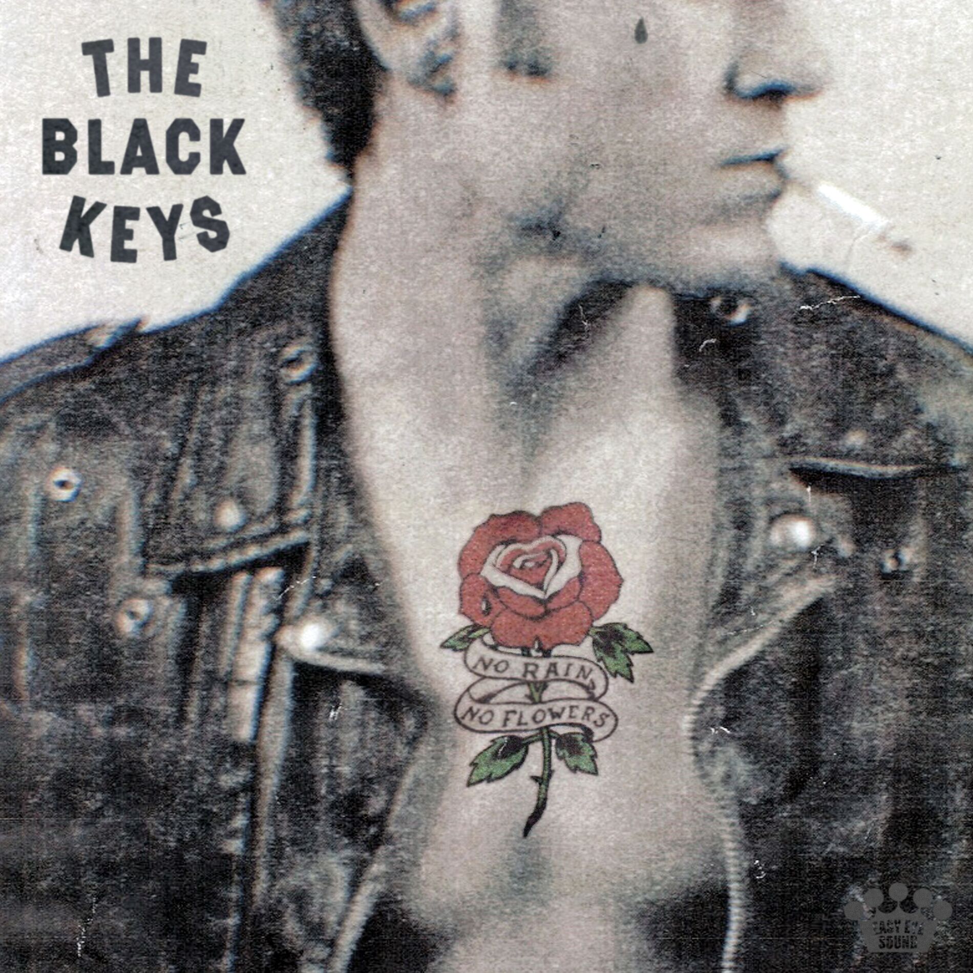 Album cover of No Rain, No Flowers