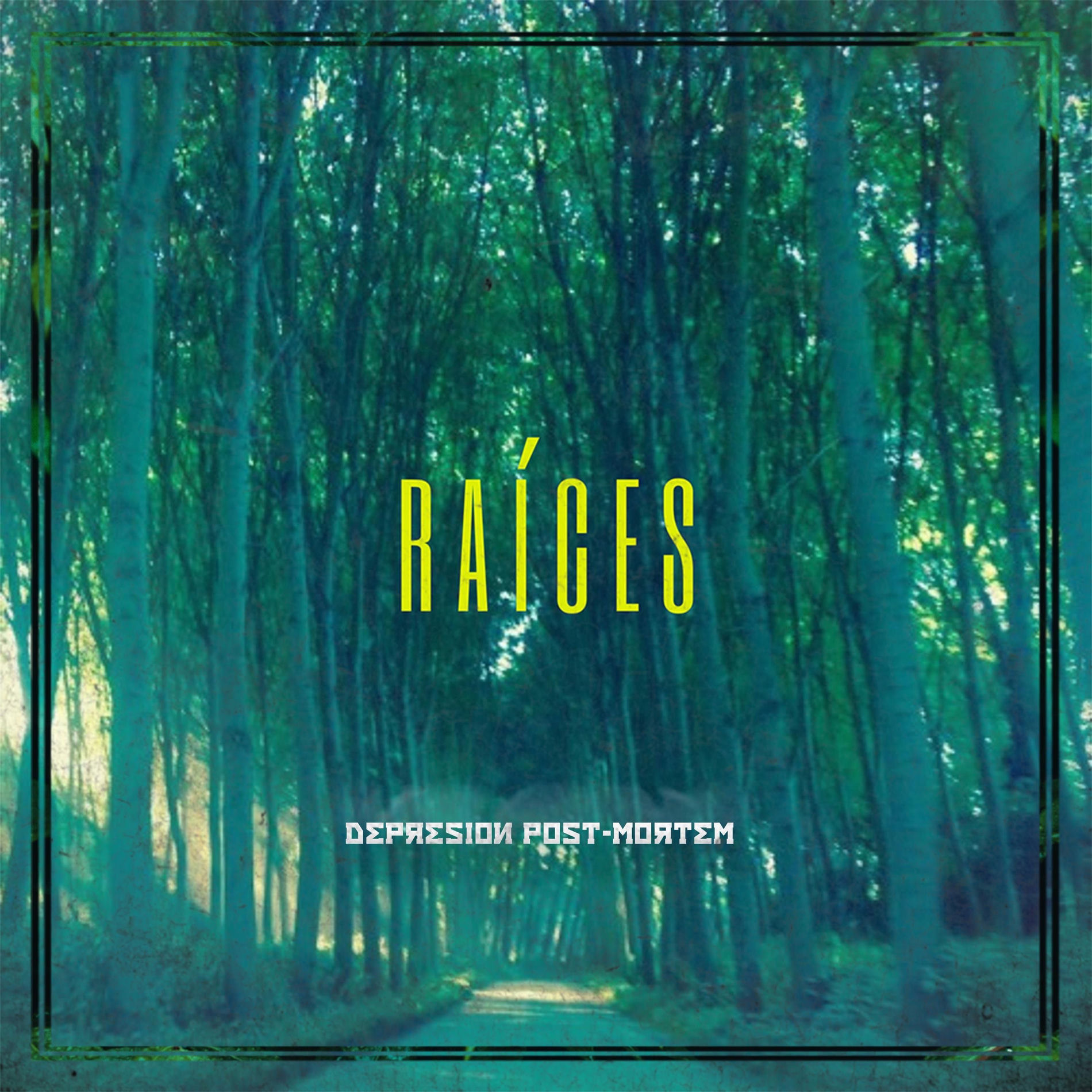 Album cover of Raíces