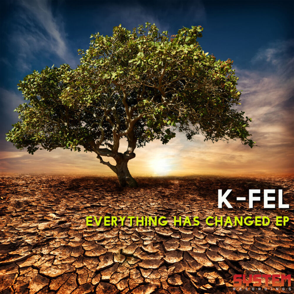 Picture of Everything Has Changed EP
