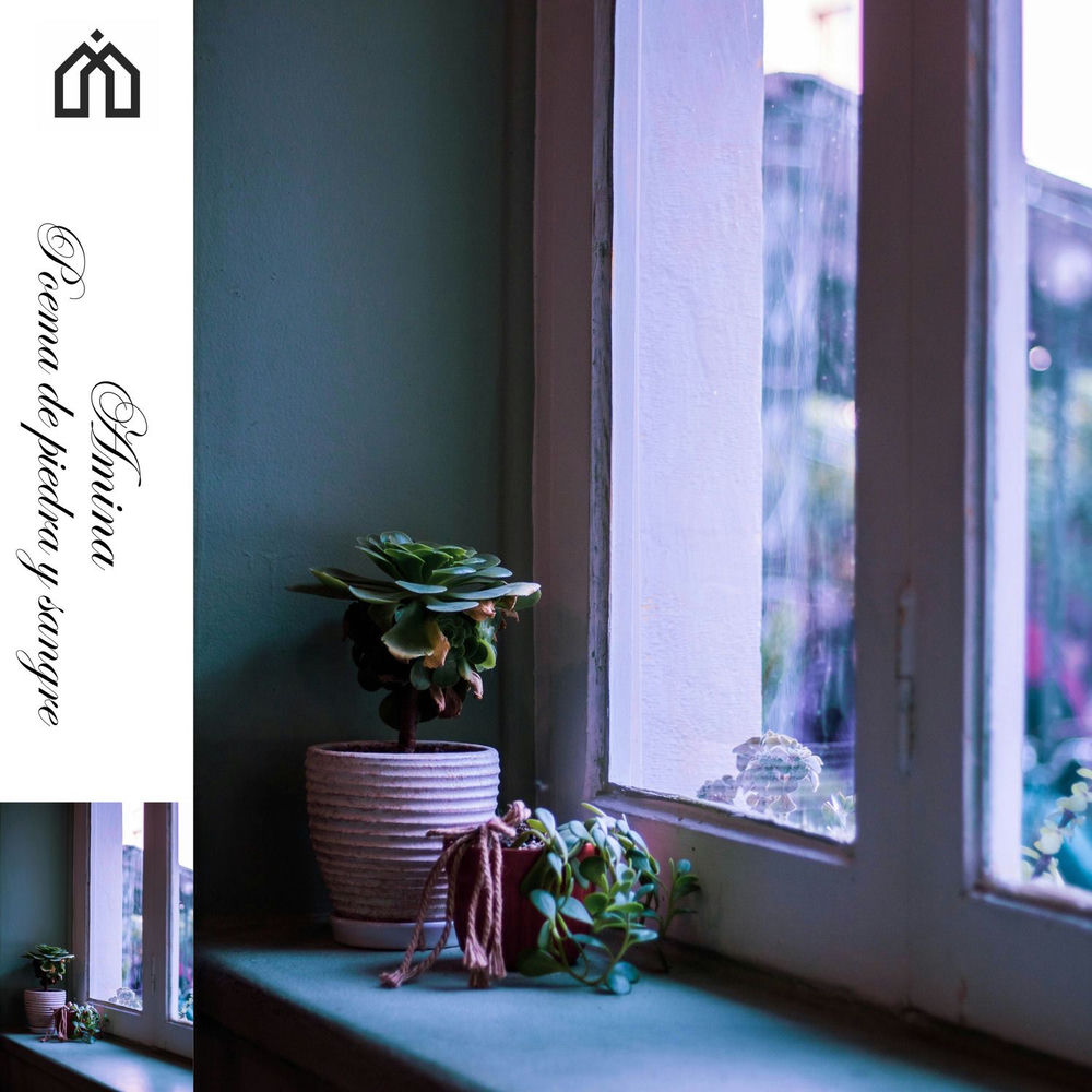 Album artwork for Poema de piedra y sangre by AMINA