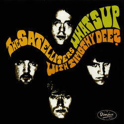 Cover of What's Up With Timothy Dee
