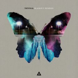 Cover of Blackout (Remixes)