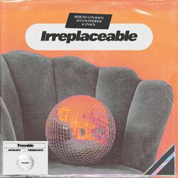 Cover of Irreplaceable