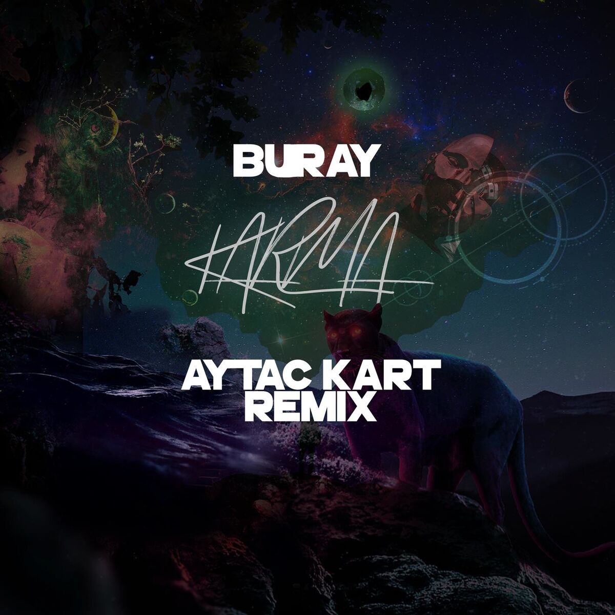 Album cover of Karma