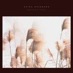 music cover