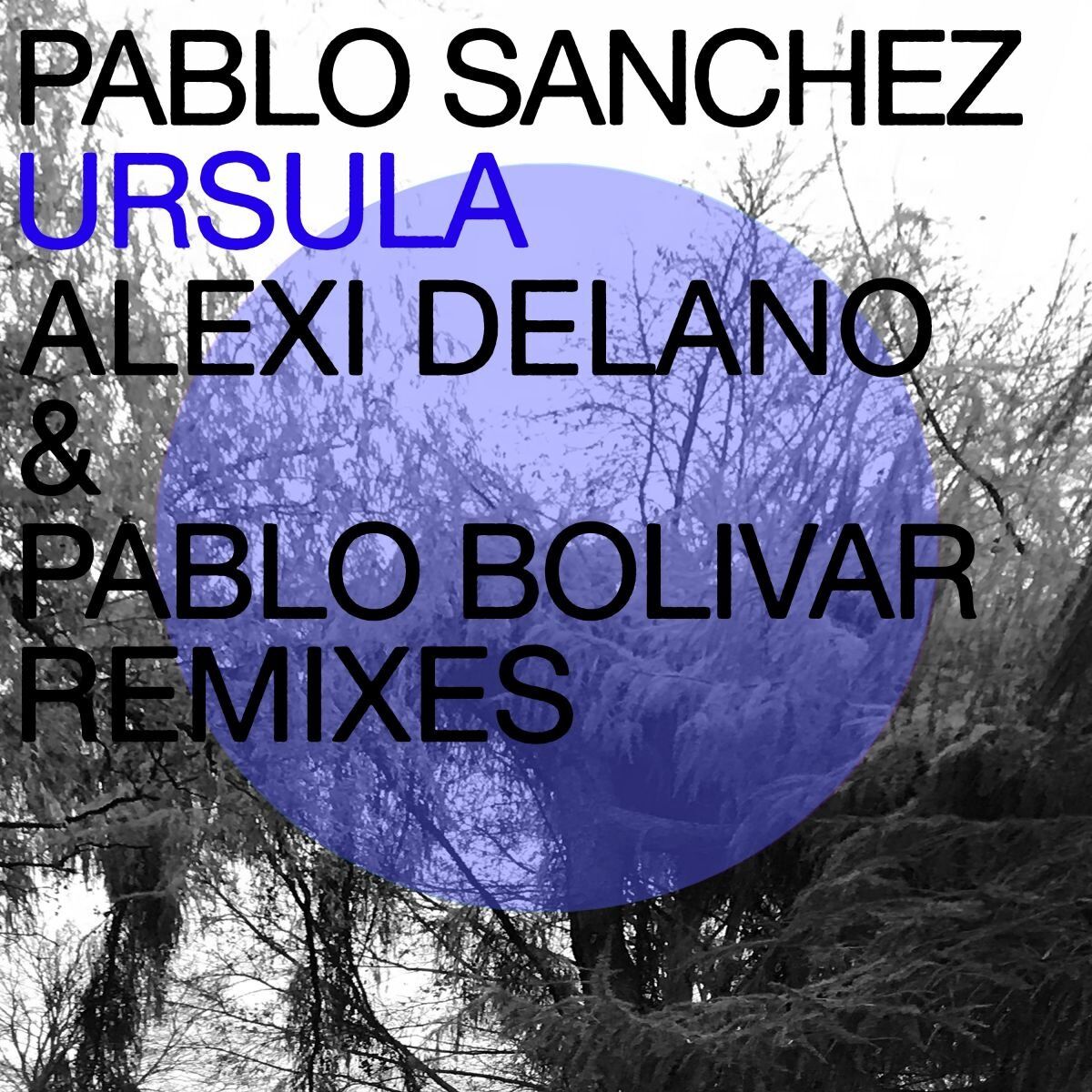 Album cover of Ursula Remixes