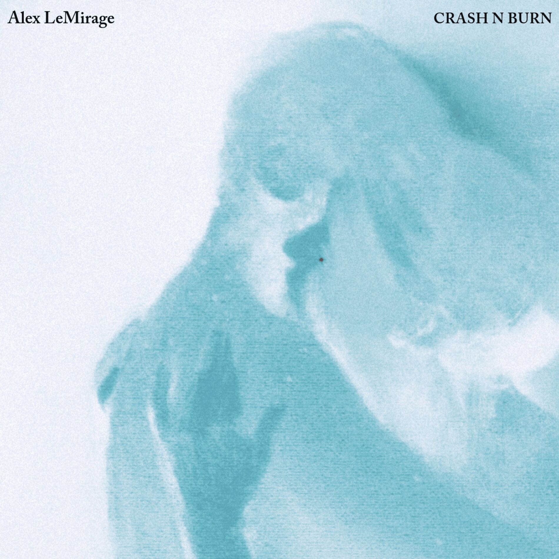 Album cover of CRASH N BURN