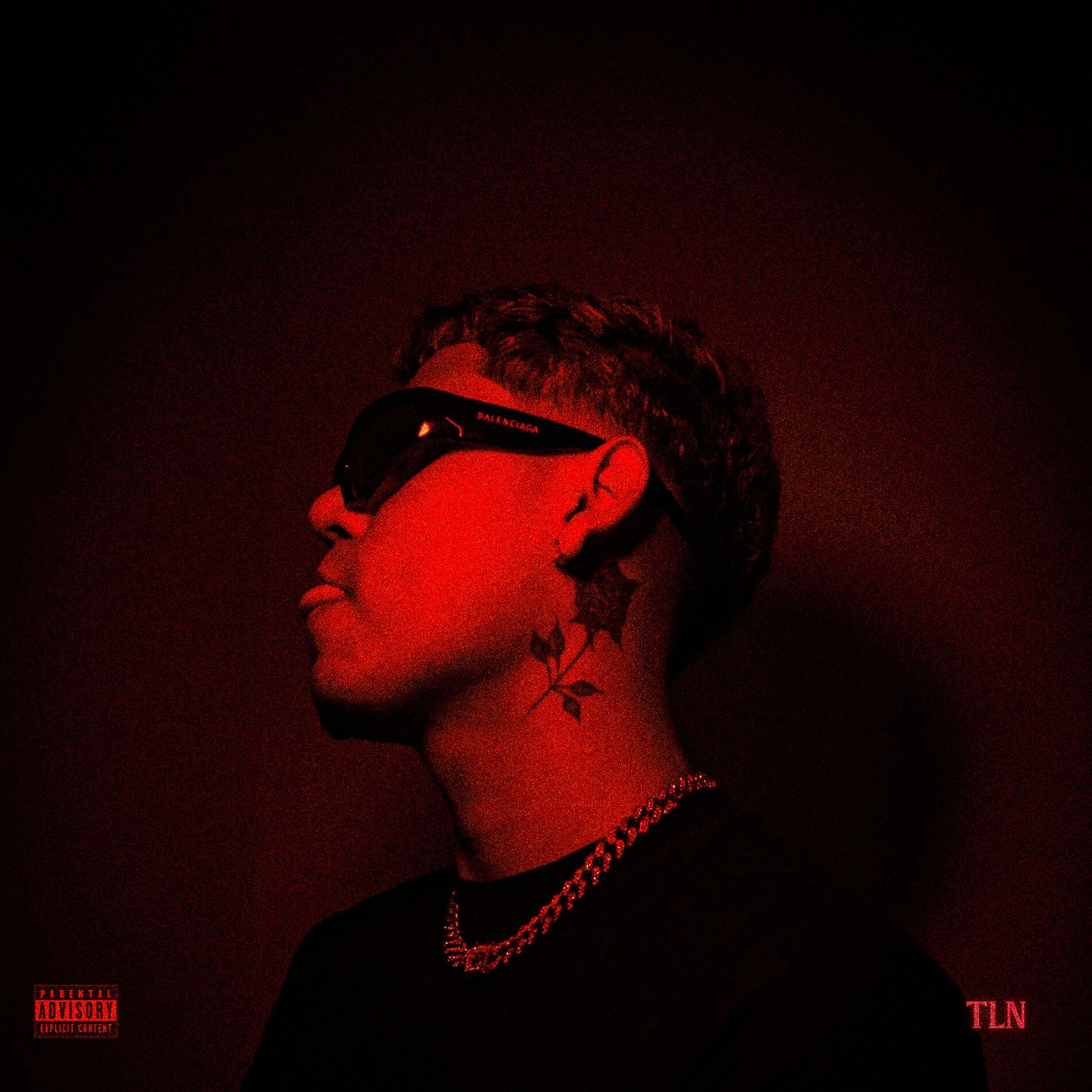 Album cover of Puto Predileto