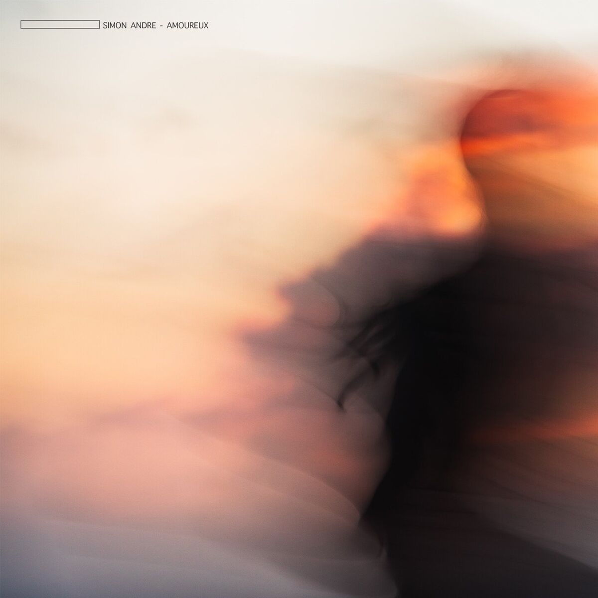 Album cover of Amoureux
