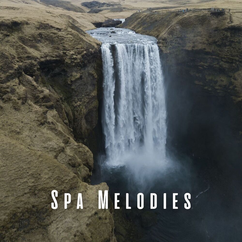 Picture of Spa Melodies: Soothing Water and Chill Music