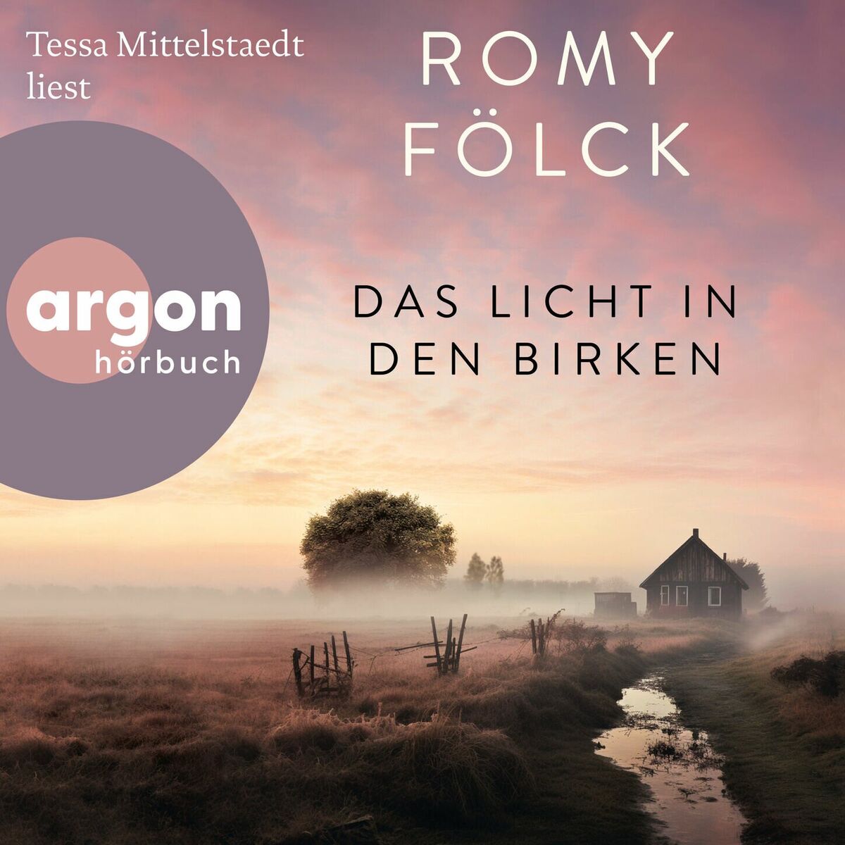 Album cover of Kapitel 1 - Das Licht in den Birken