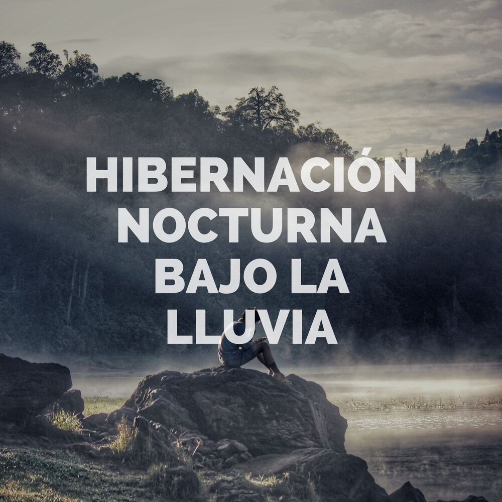 Picture of Hibernación Nocturna Bajo La Lluvia