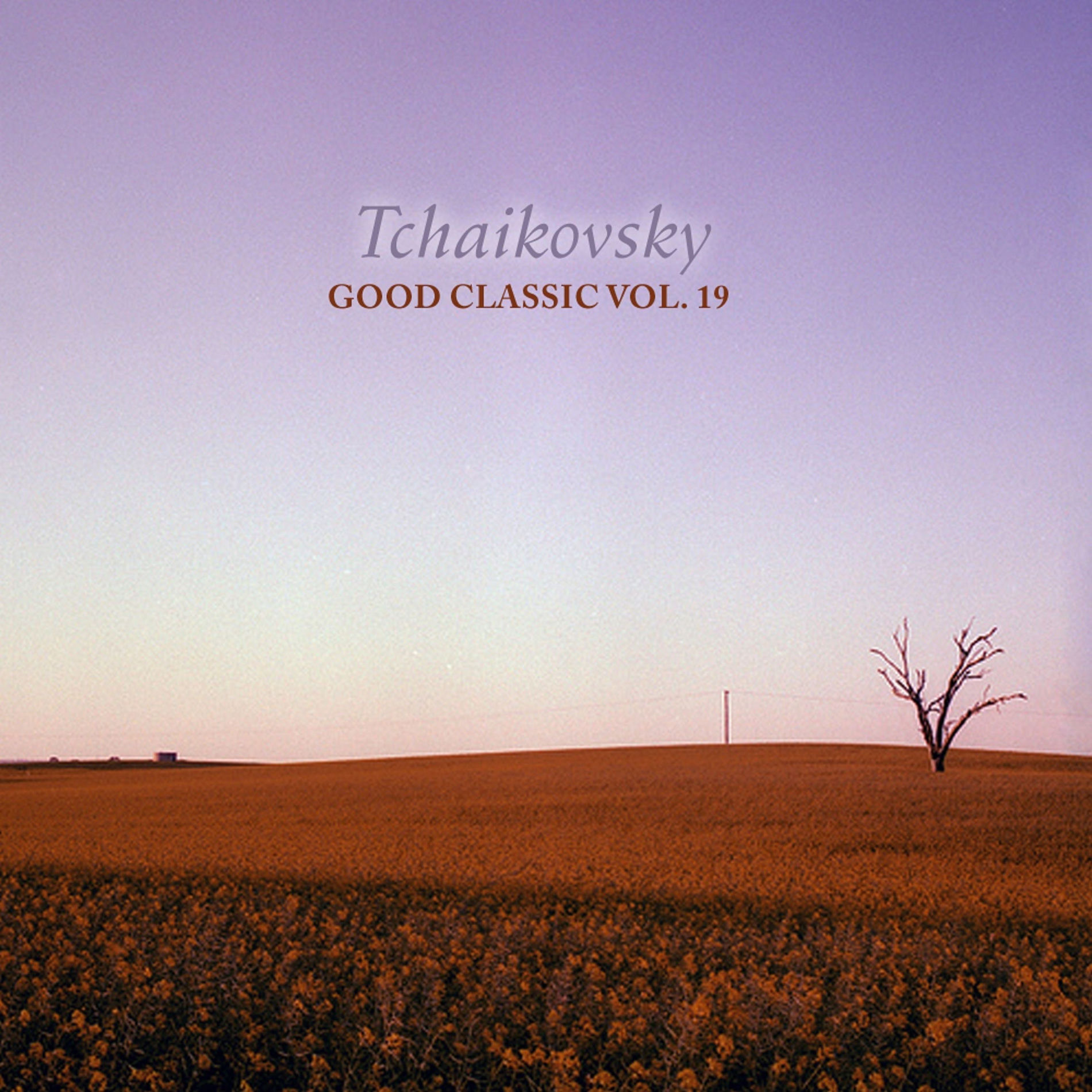 Album cover of Tchaikovsky - Good Classic, Vol. 19