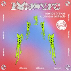 Cover of Suenos Bravos