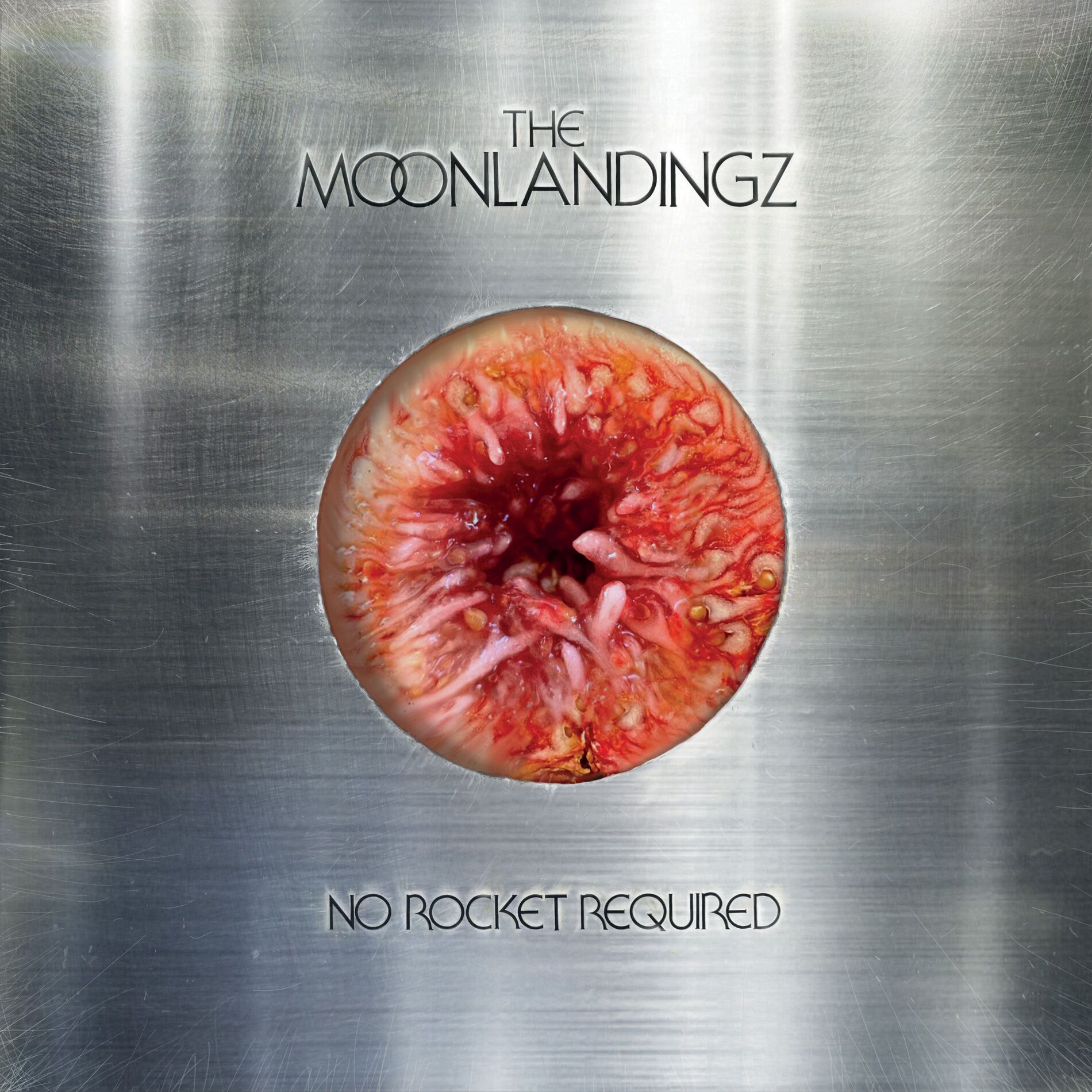 Album cover of No Rocket Required