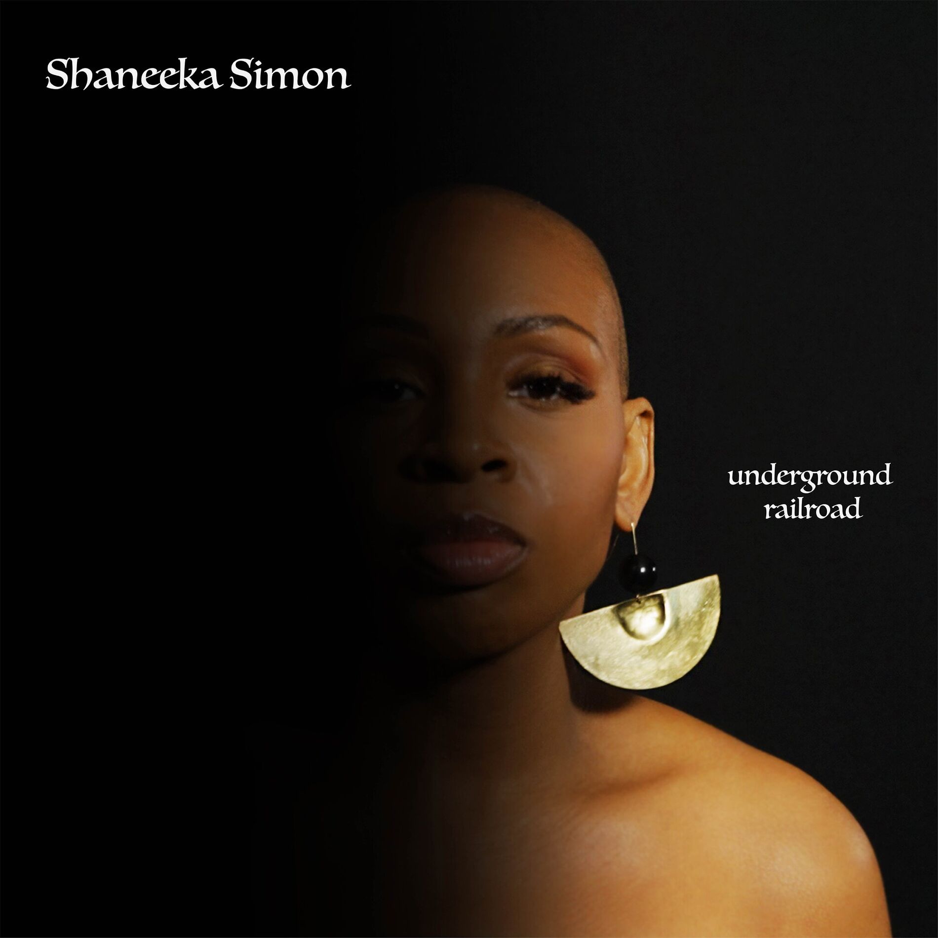 Album cover of Underground Railroad