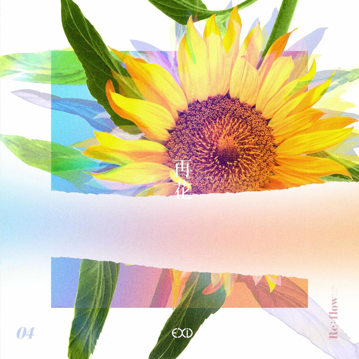 Album cover of [Re:flower] PROJECT #4