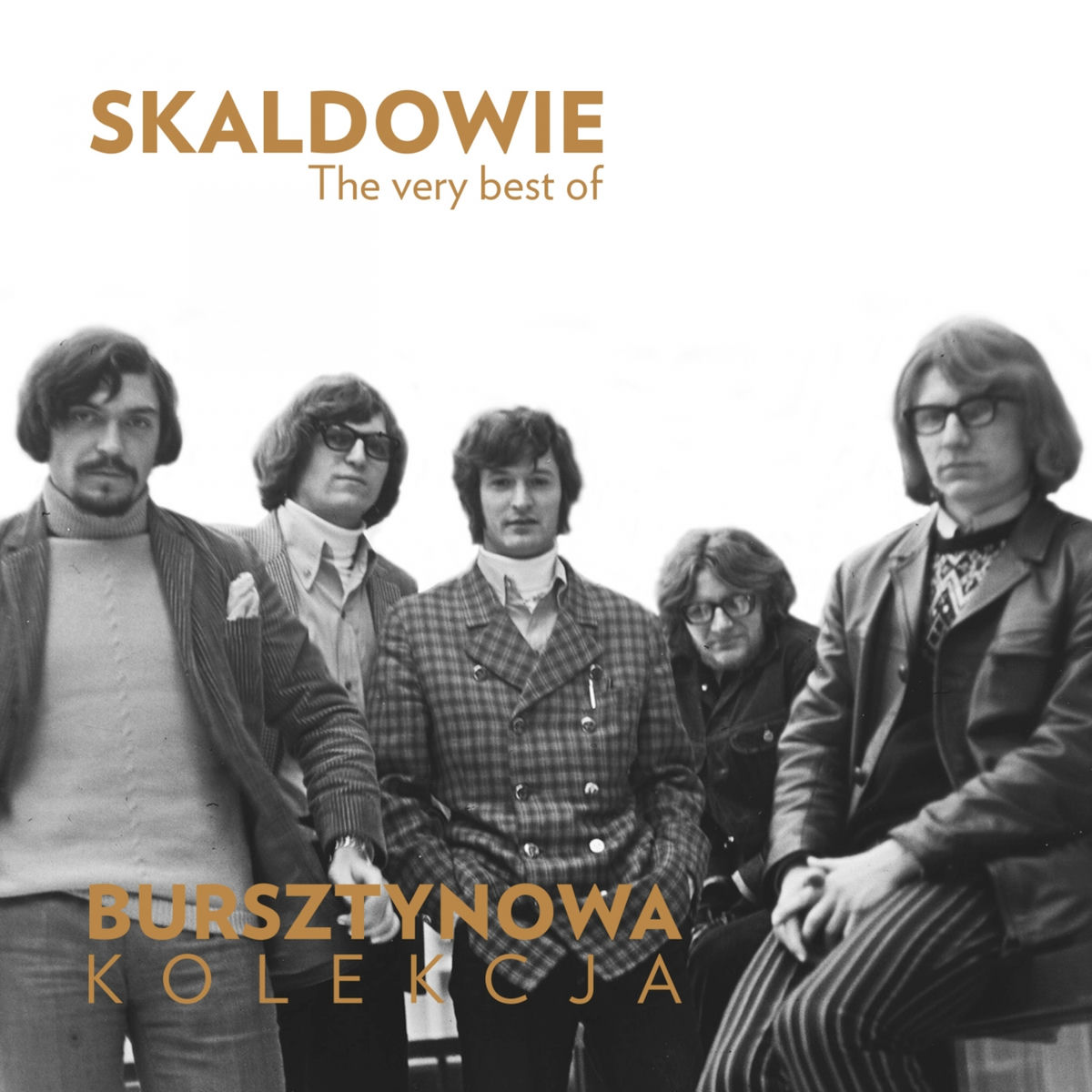 Album cover of The Very Best of Skaldowie (Bursztynowa Kolekcja)