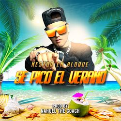 Cover of Se Pico el Verano