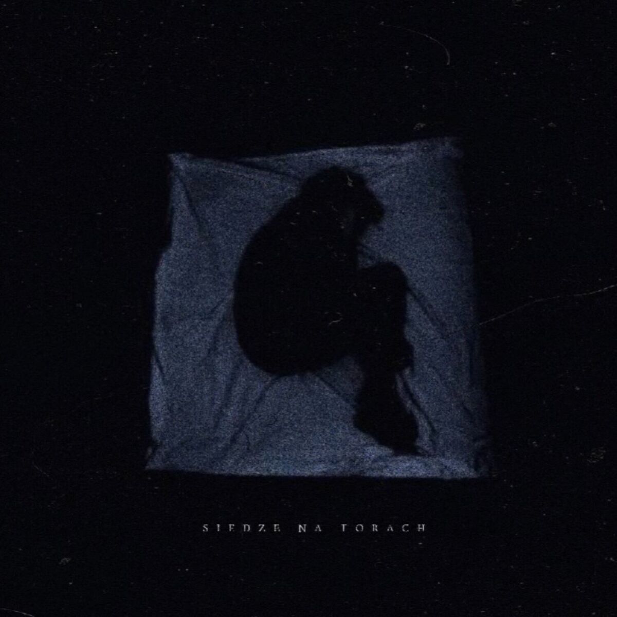 Album cover of Siedzę na torach
