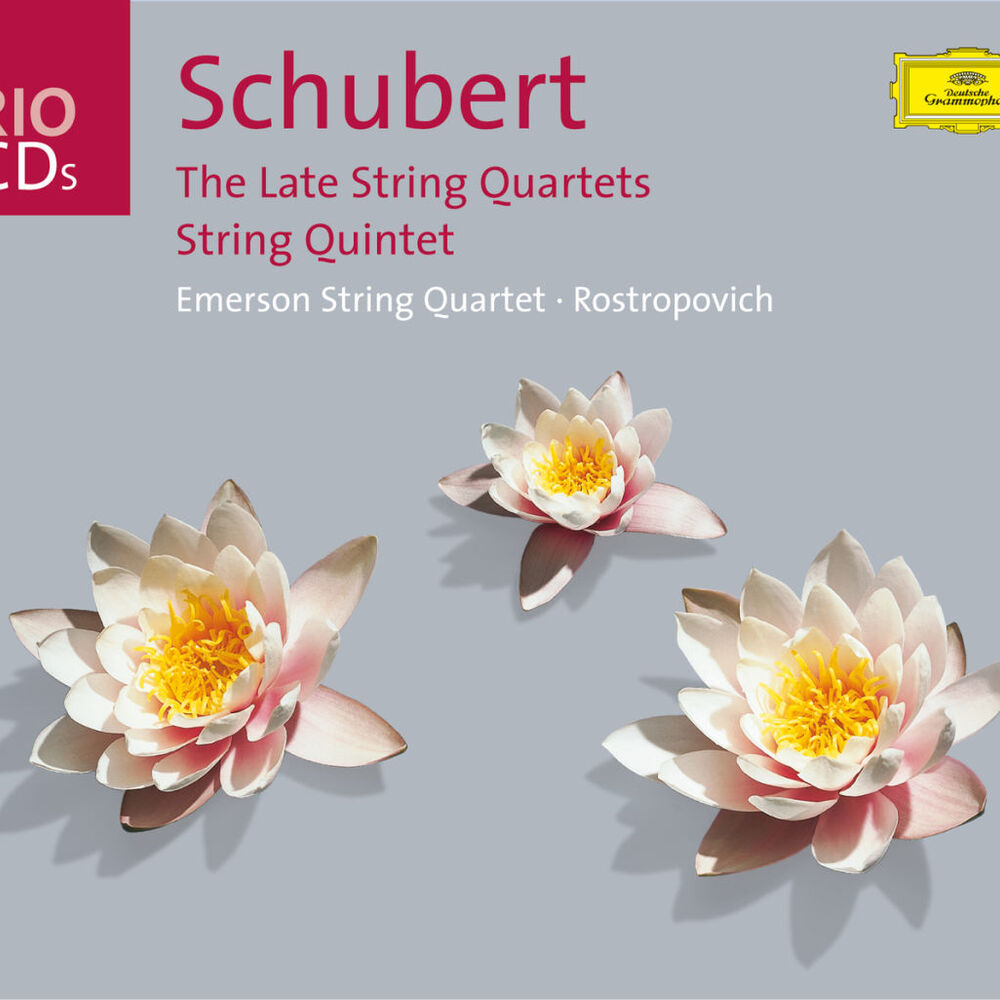 Picture of Schubert: The Late Quartets; Quintet