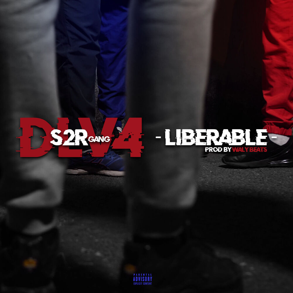 Picture of DLV #4 Libérable (prod by Waly Beats)