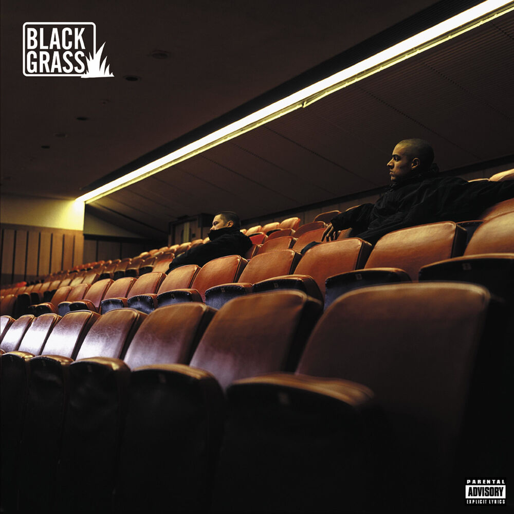 Picture of Black Grass