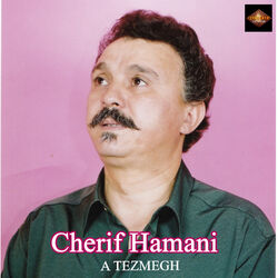 Cover of A tezmegh