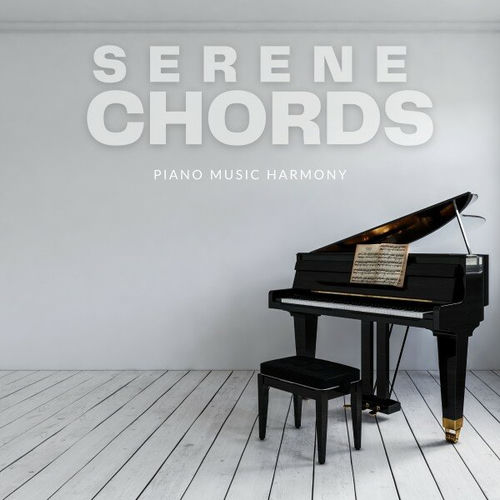 Serene Chords: Relaxing Piano Playlist