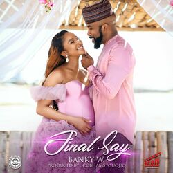 Cover of Final Say