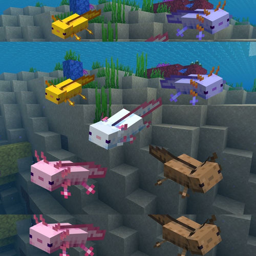 The Axolotl Song