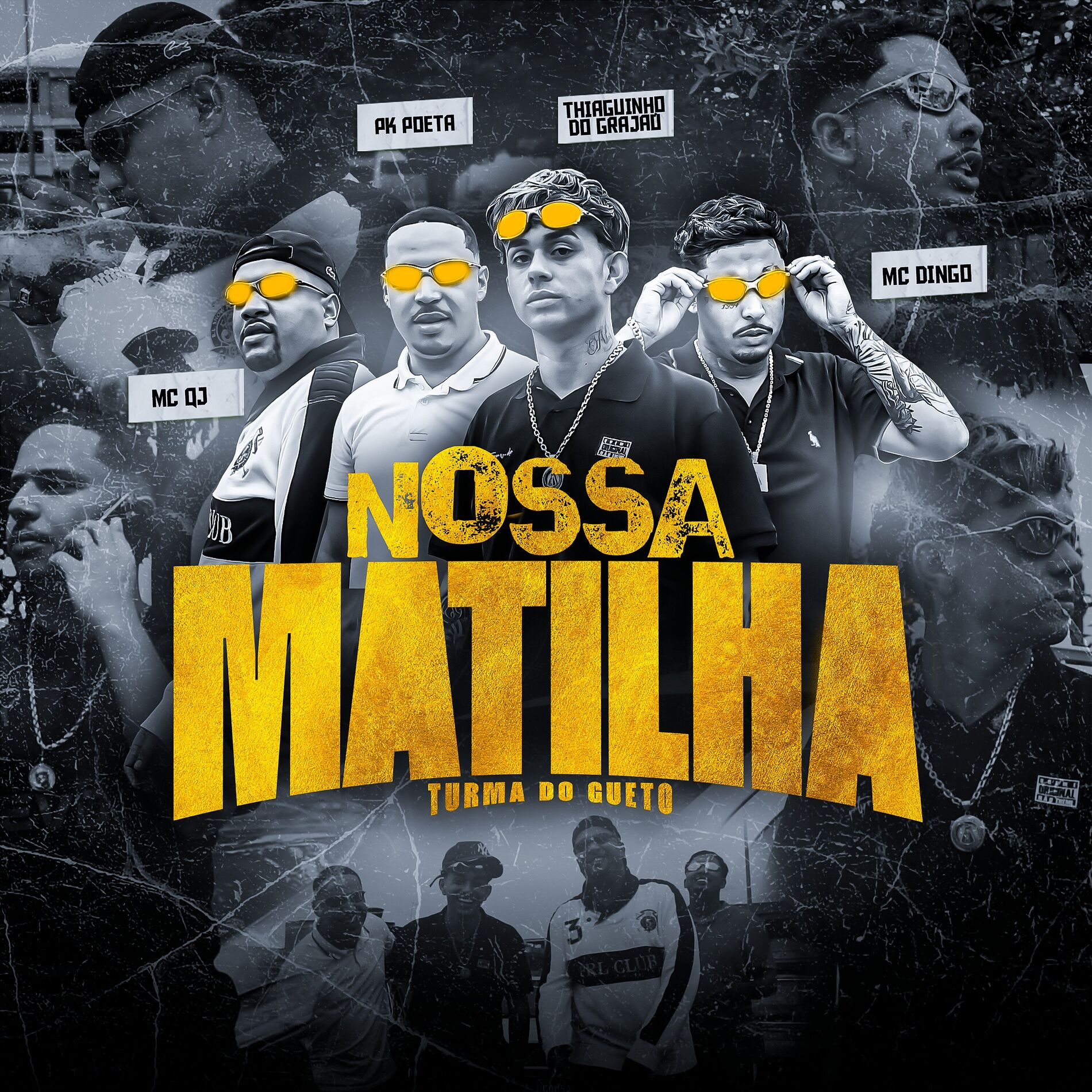 Album cover of Nossa Matilha