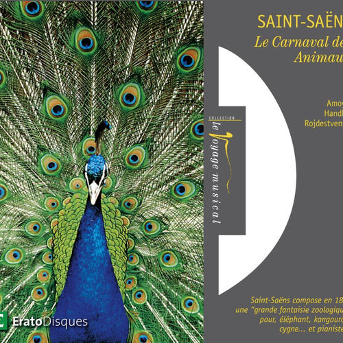 Saint-Saëns: Le carnaval des animaux, R 125: XIII. Le cygne by Gennadi Rozhdestvensky - 91 BPM