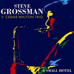 Cover of A Small Hotel