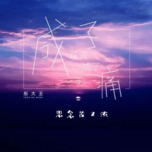 成了过去成了痛 (思念苦又浓)