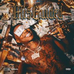 Cover of Misguided