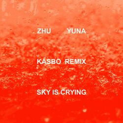 Cover of Sky Is Crying (Kasbo Remix)